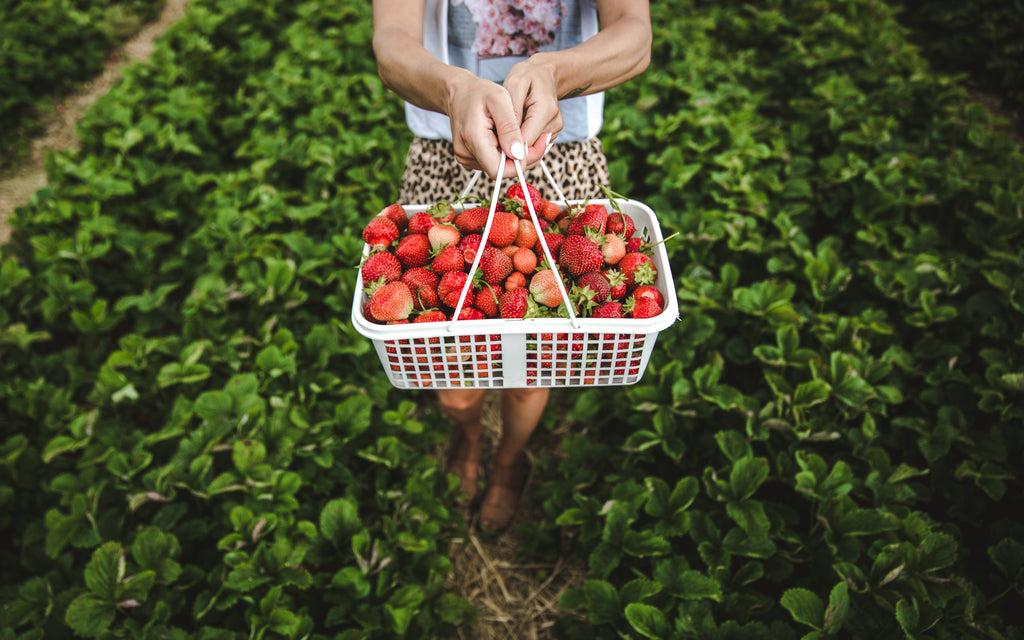 Strawberries